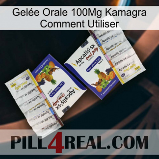Gelée Orale 100Mg Kamagra Comment Utiliser 12